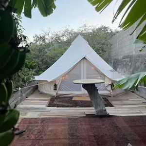 Yurt In Avocado Garden Luxuszelt